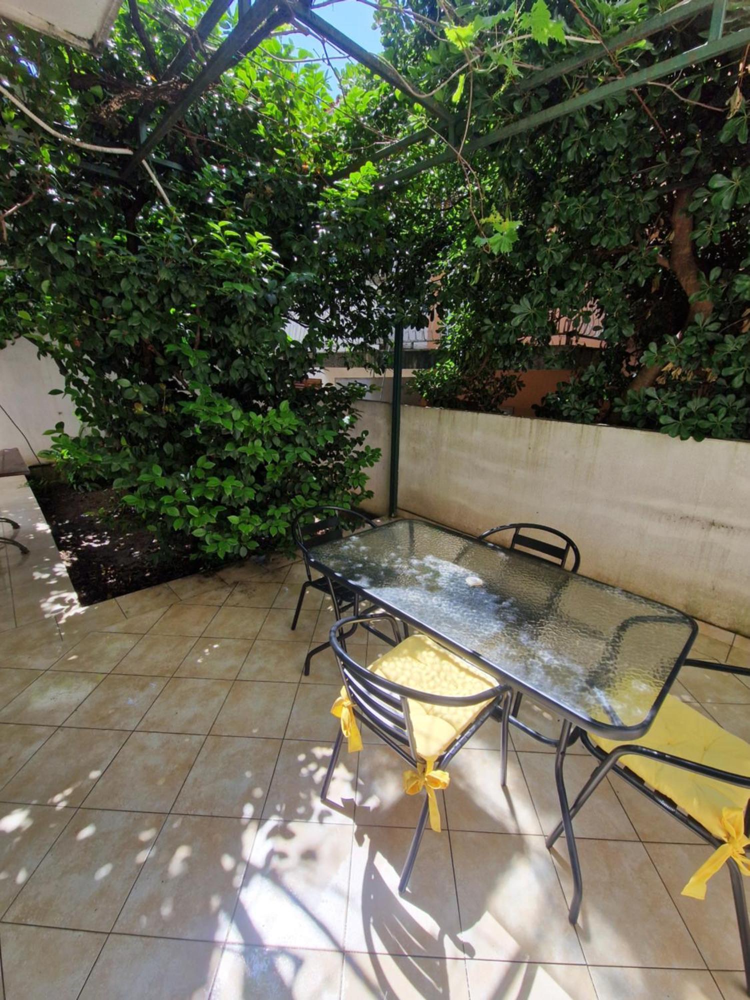 Guest House Damjana 부드바 객실 사진
