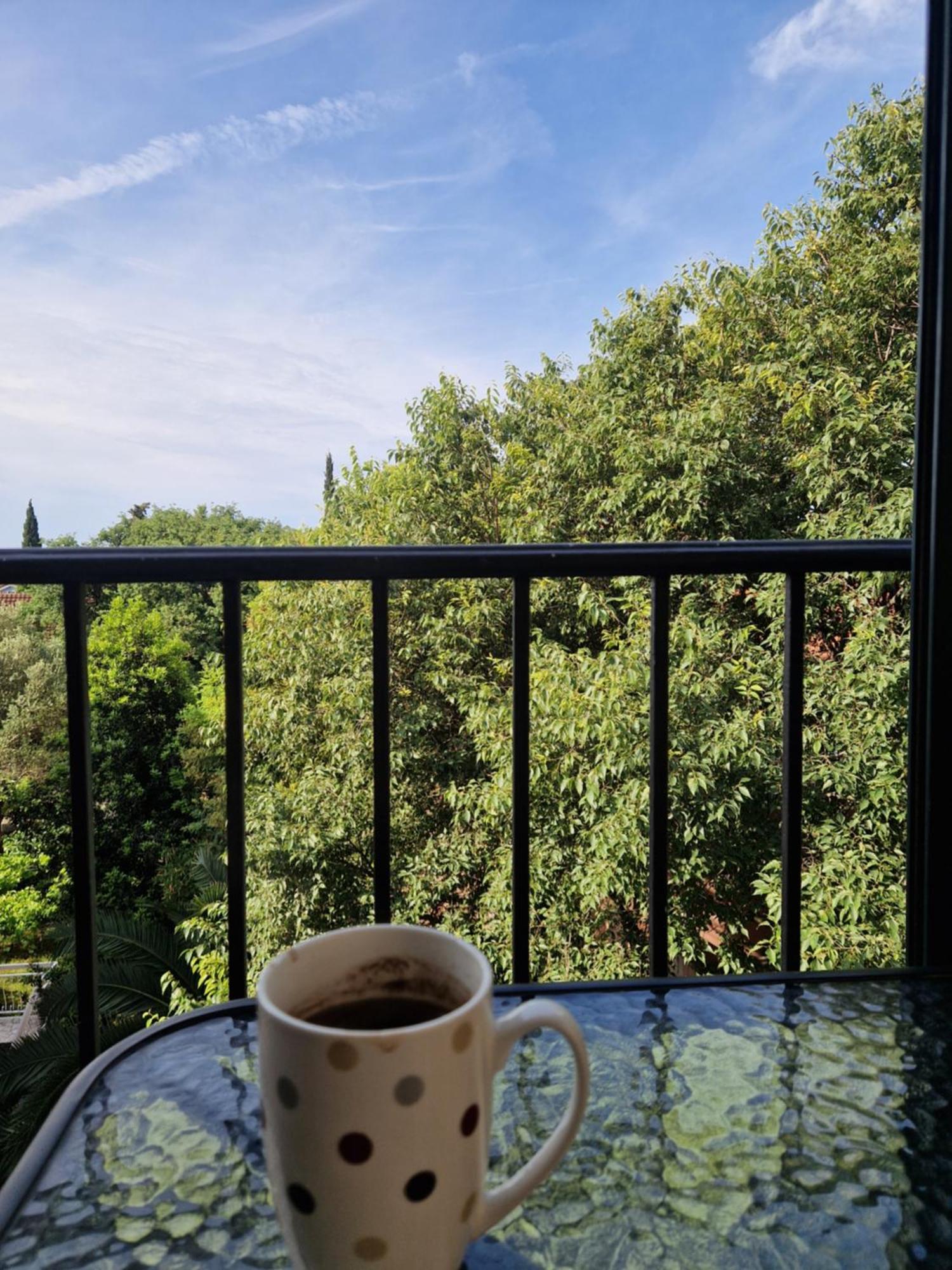 Guest House Damjana 부드바 객실 사진